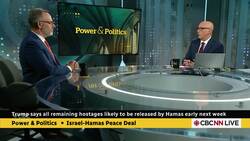 'There's a long way to go' on finalizing permanent ceasefire: Israeli ambassador News Clip