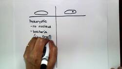 Common Characteristics of Cells Instructional Video