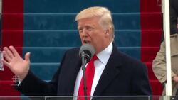 Trump: 'The establishment protected itself' News Clip