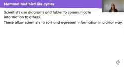 Comparing the life cycles of mammals and birds Instructional Video