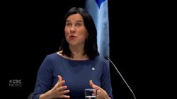 Montreal mayor on 2 key COVID-19 decisions made by Quebec News Clip