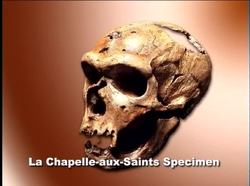 Prehistoric Man Human Evolution Upper Paleolithic - Neanderthals Instructional Video