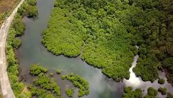 Aerial view of swamps and road in the Philippines 4K resolution video Stock Footage