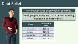 International and Non-Governmental Organizations in Economic Development Instructional Video