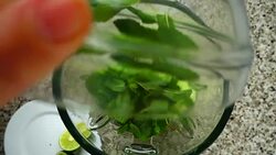 Mentha leaves fall in a blender bowl on pieces of a cucumber. Slow motion.	Shooting in kitchen. Top view. Stock Footage