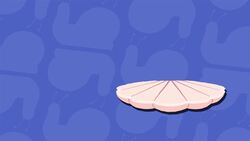 I WONDER - Do All Mollusks Have Shells? Me Pregunto - Todos Los Moluscos Tienen Conchas? Instructional Video