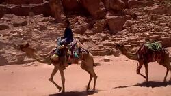 Petra - Stock Footage