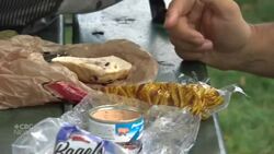 It's wasp season News Clip