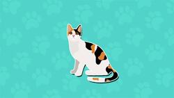 Can A Cat Own Money? Instructional Video