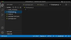 Express Framework Mastery: From Beginner to Advanced with Node.js - Write a Basic JSON of User Data Instructional Video