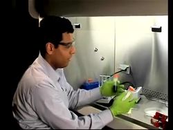 Hydrogel Scaffold Library Instructional Video