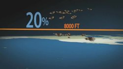 Adaptation of Butterflies -- Changing Planet Instructional Video