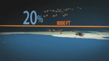 Adaptation of Butterflies -- Changing Planet
