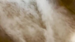 CLEAN : Alpine spring water at the source of Vienna's climate security News Clip