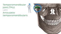 Fibrocartilage Instructional Video