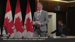 Crossing the U.S. border with your dog? Check the new rules first. Instructional Video