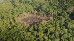 BRAZIL: Scientists worried the Amazon rainforest is nearing its so called tipping point News Clip