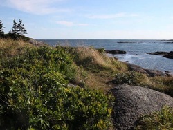 Recursos naturales: renovables y no renovables Instructional Video