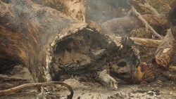 AUSTRALIA: Wildfire burning hillside News Clip