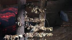Porcini mushrooms being dried by indoor open fire Stock Footage