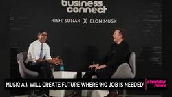 Musk: A.I. Will Create Future Where "No Job is Needed" News Clip