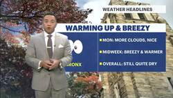 Sunny Monday in the Bronx; summer-feels return midweek Instructional Video