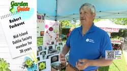 Garden Guide: This classic flower is becoming very popular News Clip