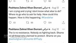 What it’s like for an Afghan-Canadian to watch the Taliban siege from afar News Clip