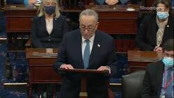 Schumer on Mob: Trump Bears a Great Deal of the Blame News Clip
