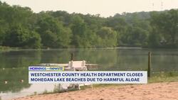 11 Westchester County beaches temporarily closed due to harmful algae and rainfall News Clip