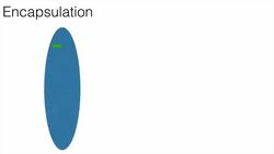 TypeScript for Beginners - Encapsulation Instructional Video