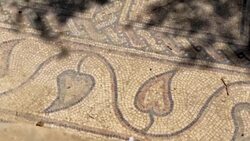 CLEAN : Palestinian farmer discovers rare ancient mosaic in Gaza News Clip