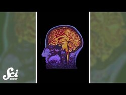 Your brain is a fingerprint. #shorts #science #SciShow Instructional Video