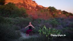 Quick Seated Flow for Energy Instructional Video