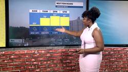 STORM WATCH: Sunny, warm and humid today for the Bronx; tracking steamy conditions, thunderstorms for Friday News Clip