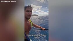 Foil surfer has close encounter with '20ft' tiger shark Instructional Video