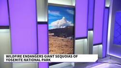 Yosemite Wildfire Threatens Grove Of Iconic Sequoia Trees News Clip