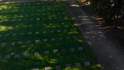 Old Cemetery in a park (aerial) Stock Footage