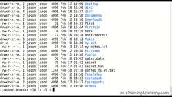 Linux Administration Bootcamp: Go from Beginner to Advanced - Input, Output, and Redirection Instructional Video