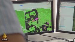 Amazon Burning: Death and Destruction in Brazil's Rainforest | Fault Lines News Clip