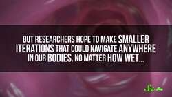 5 Tiny Bots Inspired by Nature Instructional Video