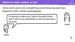 Sketchbook research: insect, animal and bird studies and designs Instructional Video