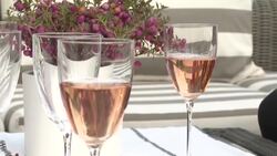 CLEAN : French students boost morale with countryside getaway to Anjou News Clip