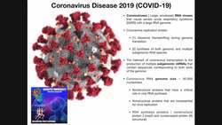 The Coronavirus Replication Cycle Instructional Video