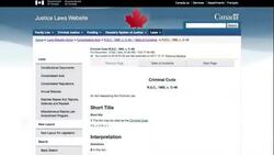 Why the van attack isn't being called terrorism yet News Clip