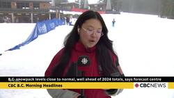 B.C. snowpack levels close to normal, well ahead of 2024 totals, says forecast centre News Clip