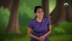 Al the Alpaca's Christmas Adventure at the North Pole Instructional Video