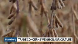 How China Can Hurt America's Farms News Clip