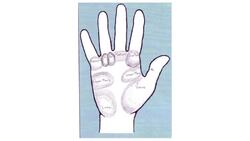 How to Find a Hand's Leading Mount in Palm Reading Instructional Video