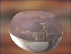 Exploring the Differences between Animal and Prokaryotic Cells Instructional Video